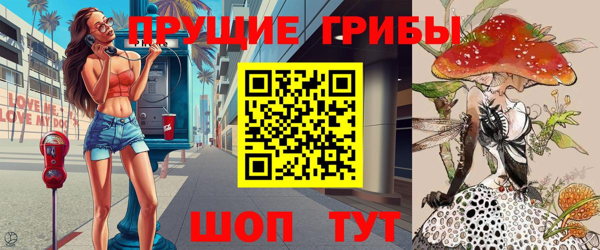 Псилоцибиновые грибы Psilocybe  Псилоцибиновые грибы MAGIC MUSHROOMS  Михайловск  Вход с VPN 