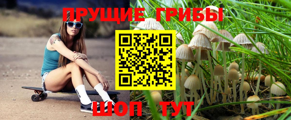 Псилоцибиновые грибы прущие грибы Михайловск